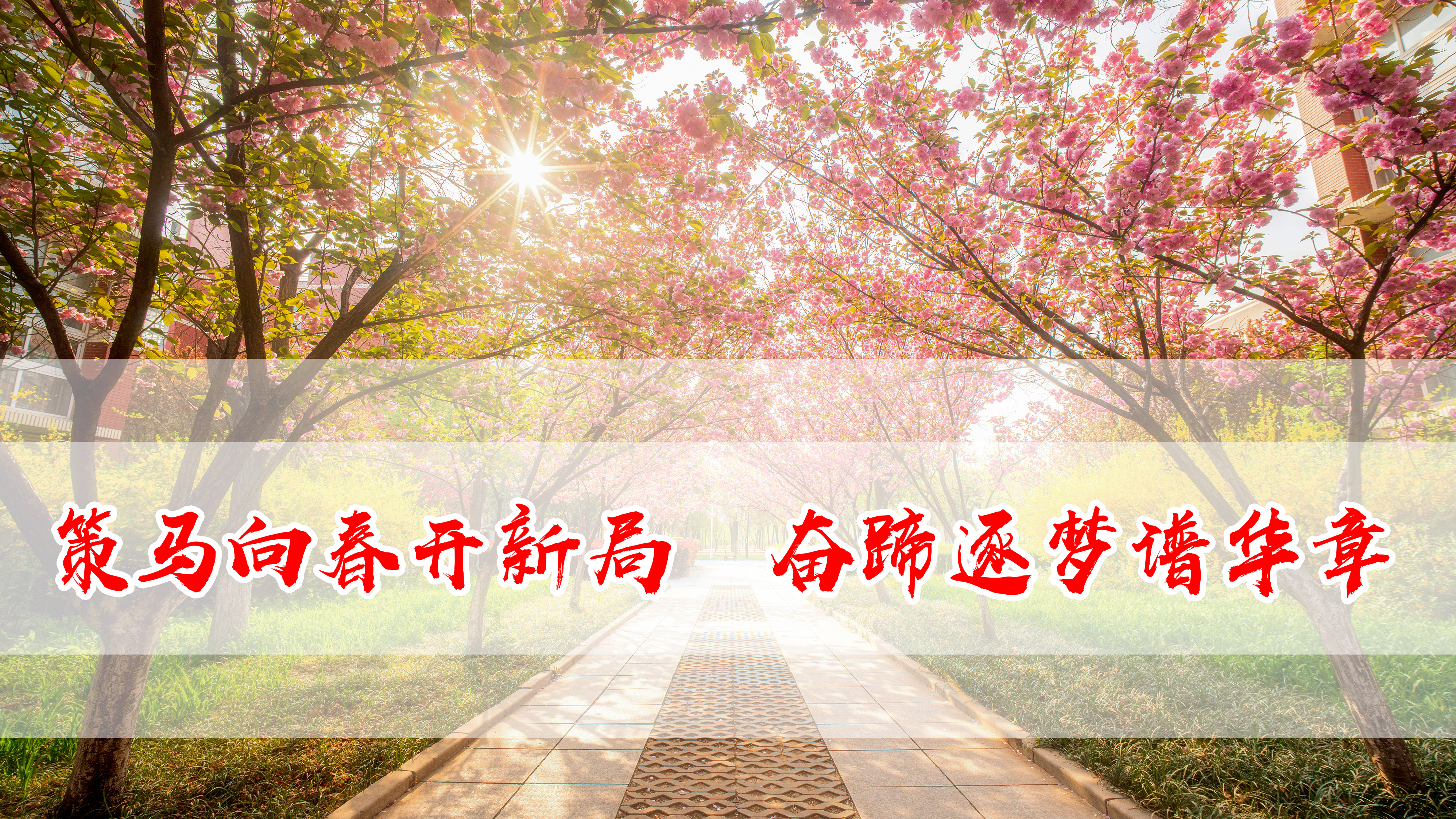 First Image Silde Picture