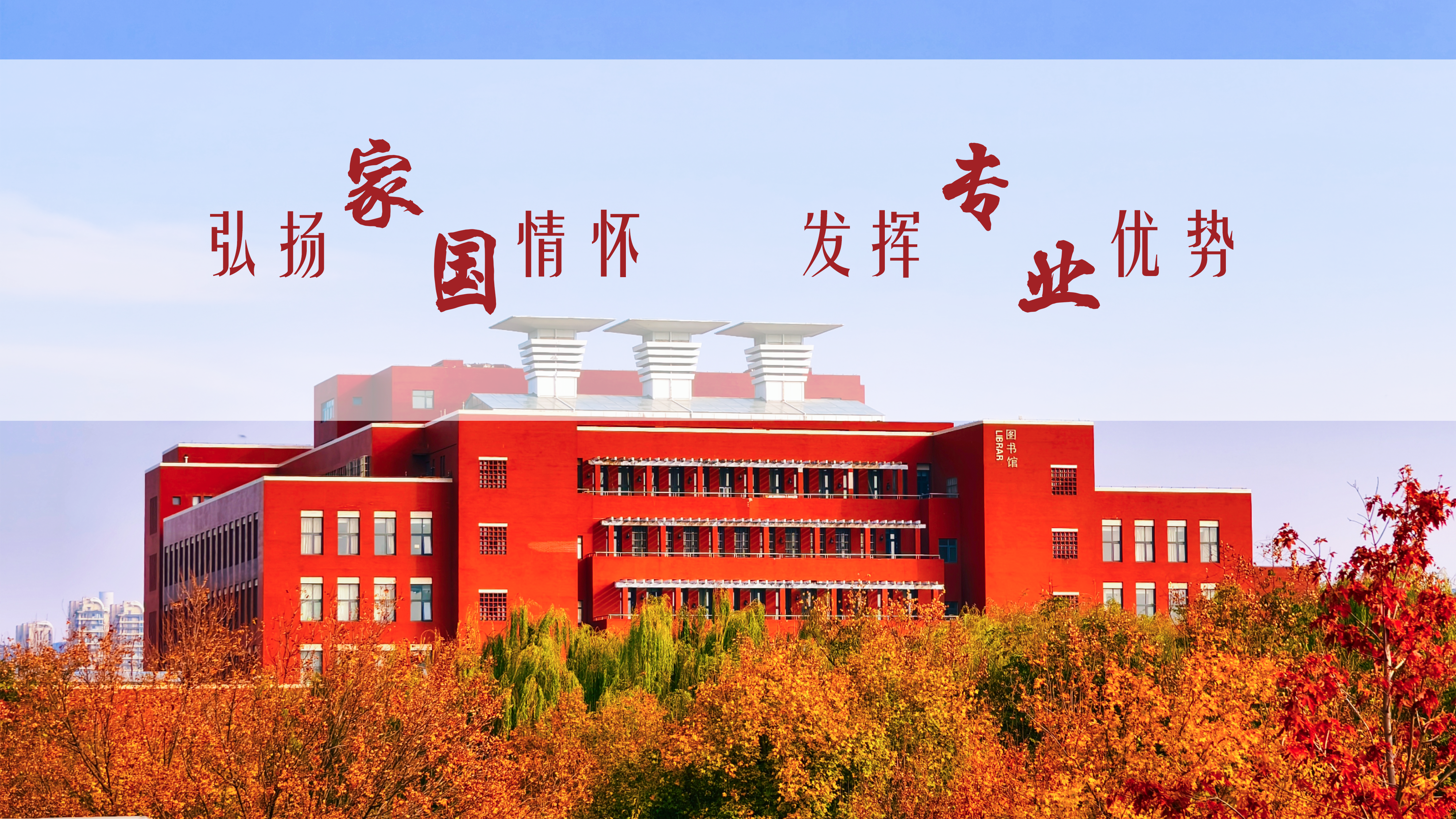 First Image Silde Picture